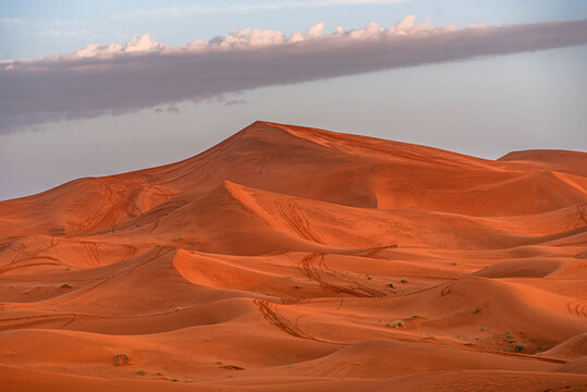 Sunlight on dunes in the Moroccan desert creates patterns shaped by the wind and time over the landscape