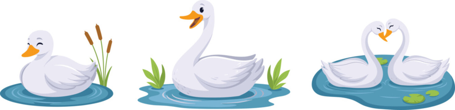 Cute swan and duck cartoon character vector set with funny white water birds swimming in pond with reeds isolated on white background