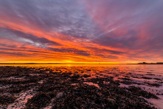 Sunrise at Roa Island with a colorful sky over the Cumbrian coast revealing seaweed along the shore at low tide