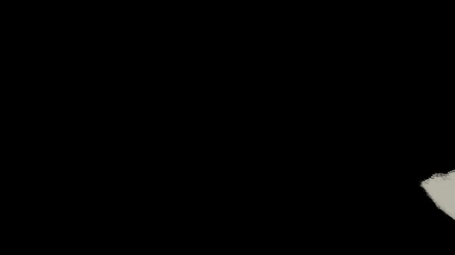 Hand presenting blank white credit card against a dark background