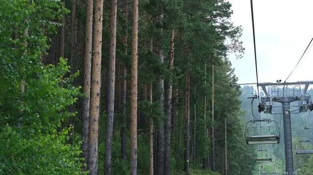 Scenic view of a ski lift ascending through a dense forest of tall pine trees, showcasing the lush greenery and natural beauty of the mountainous landscape
