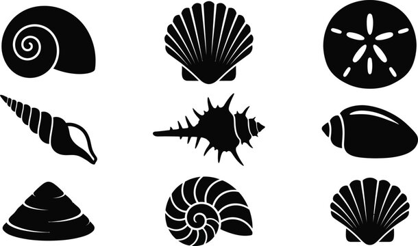 Black silhouettes of nine different seashells and one sand dollar on white background, scallop shell cockle shell