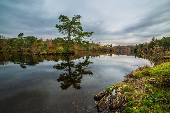 Autumn reflections in Tarn Hows, showcasing trees and water in Coniston, English Lake District in the United Kingdom