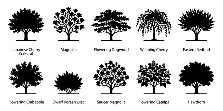 Collection of flowering ornamental tree silhouettes representing popular garden species with decorative blossoms, elegant crowns and distinctive seasonal forms