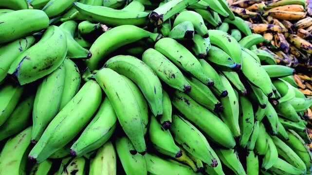 Close-Up of Green Plantains (Musa &times; paradisiaca) Displayed in a Fresh Produce Market, 4K 60fps