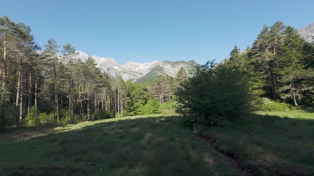 Mountain forest landscape with snowy peaks backward aerial movement
