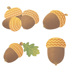 도토리 Acorn illustration © 하나 최