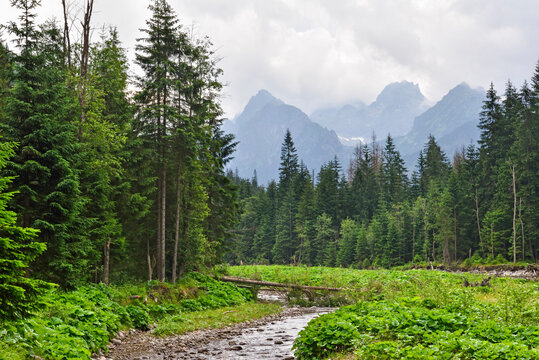 Scenic view of the Bialka River flowing through the Tatra Mountains in Poland during a cloudy day