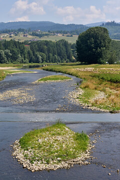View of the Dunajec river winding through fields and trees in Nowy Targ, Malopolska Province, Poland, reflects rural landscape of Central Europe