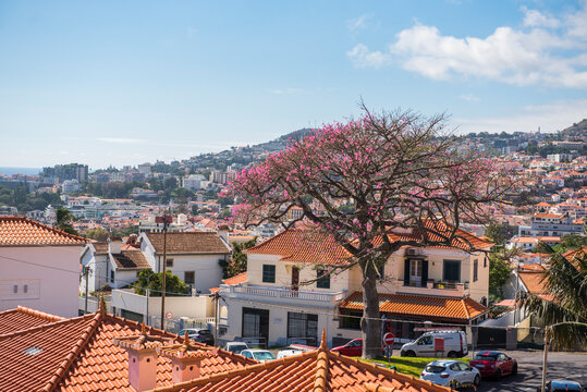 View over Funchal from the cable car ride to Monte in Madeira, Portugal on a sunny day
