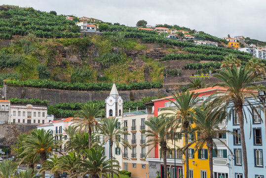 Colorful buildings stand near the seafront of Ponta do Sol with hills and palm trees in the background on a cloudy day