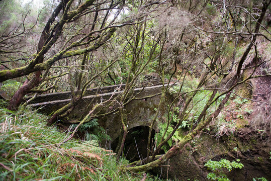 Stone bridge on PR 6.4 trail connecting Pico Gordo and Casa do Rabacal in Madeira's wooded area