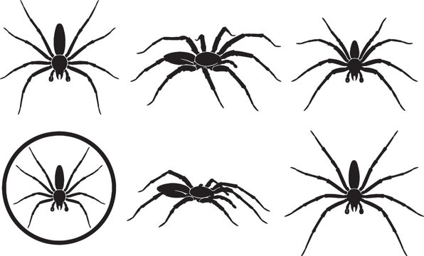 Marsh Ground Spider Silhouette Icon Set Black Vector Wildlife Collection Isolated on White Background