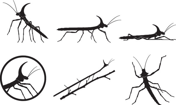 Helmeted Stick Insect Silhouette Icon Set Black Vector Wildlife Collection