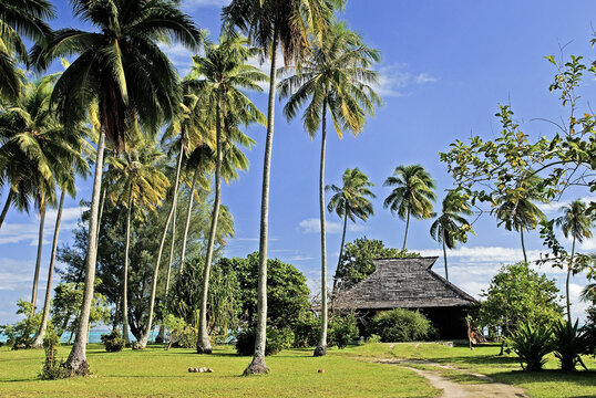 Wooden house by the lagoon surrounded by palm trees on Moorea in French Polynesia