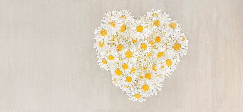 Herz aus Margeritenblumen