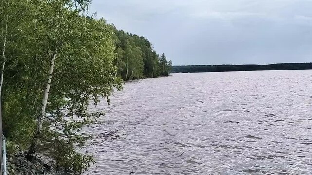Windy lake with choppy waves and green birch trees along the shoreline on an overcast day, scenic natural background of northern wilderness