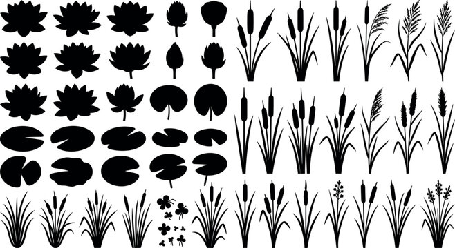 Aquatic plants water lily and cattail silhouettes collection isolated on white background