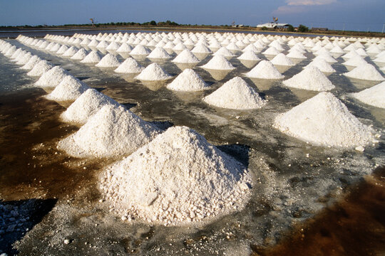 Salt production process at ponds in Samut Songkhram showcases piles of harvested salt and clear blue skies