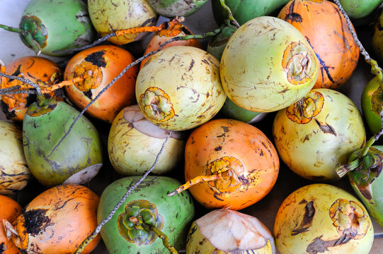 Fresh coconuts seen in market, showcasing their natural colors and textures while being sold in Martinique