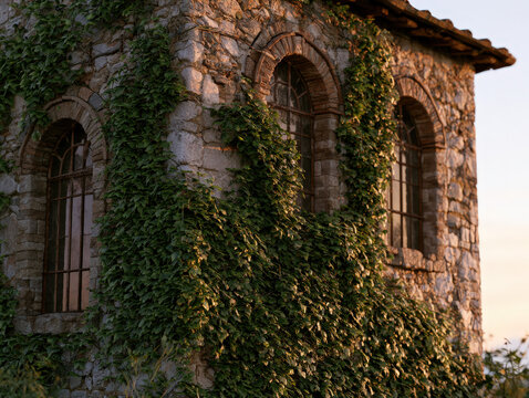 Ancient stone granary building with arched windows weathered masonry and ivy climbing the walls in European countryside warm golden hour lighting photorealistic 8k hyperdetailed