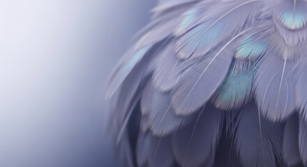 Obraz premium Macro view of soft lavender and blue feather texture, showcasing delicate lines, symbolizing lightness, purity, and tranquility, ideal for serene or natural concepts