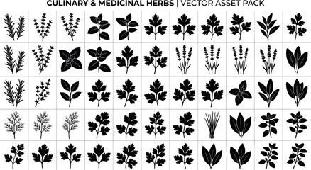 Obraz premium Culinary and medicinal herbs vector silhouette set with rosemary thyme parsley mint leavesCulinary and medicinal herbs vector silhouette set with rosemary thyme parsley mint leaves