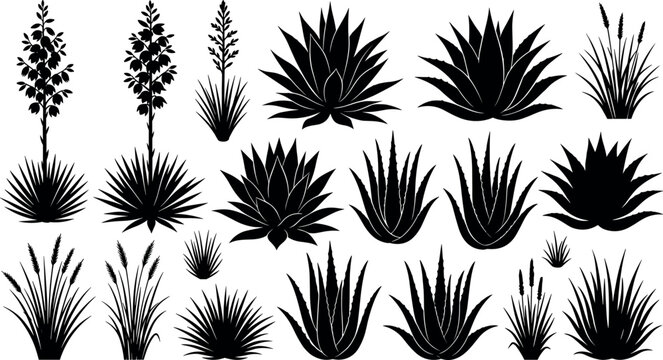 Desert plant silhouettes set with agave succulents yucca flowers and wild grass bushes