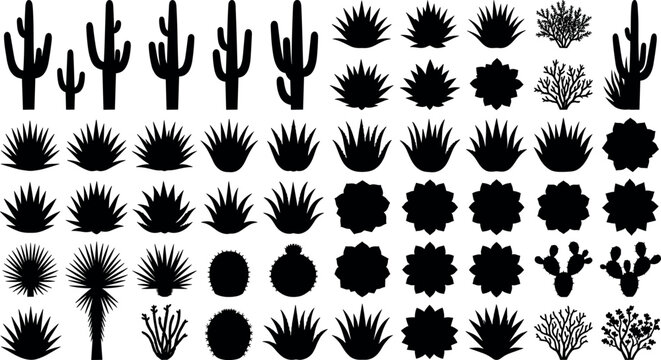 Desert plants vector silhouettes set with saguaro cactus agave succulents and shrubsDesert plants vector silhouettes set with saguaro cactus agave succulents and shrubs