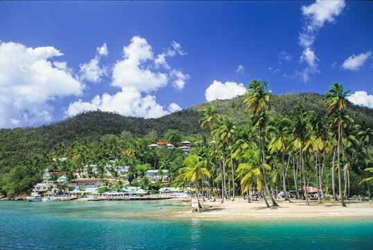 Enjoying the sunny day at Marigot Bay with palm trees and clear waters in Saint Lucia