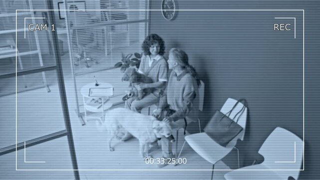 CCTV shot of middle aged Caucasian woman and senior Caucasian woman sitting with dogs in clinic, captured on security camera. Clip is perfect for veterinary security or pet care marketing videos