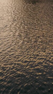 Golden Ripples on Water Surface