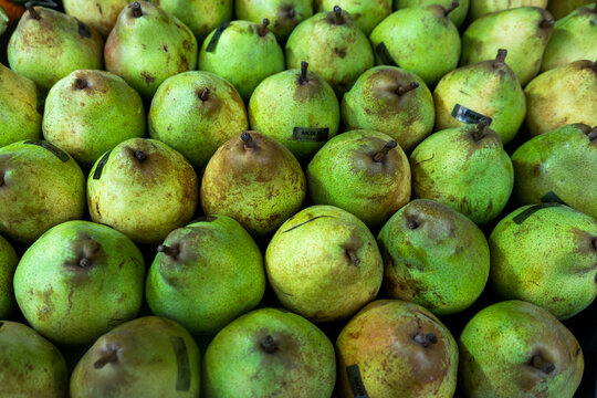 Fresh pears in a market display, sourced from France, ready for sale during the harvest season in the fall