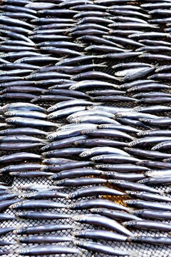 Fish are being dried in the sun in Sai Kung, Hong Kong to prepare for cooking and selling on local markets