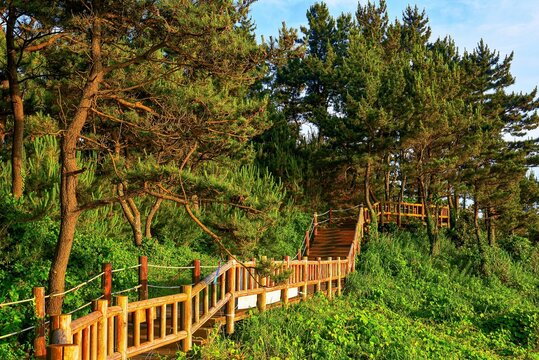 Walking path on Songaksan trail during magic hour in Jeju Island, South Korea