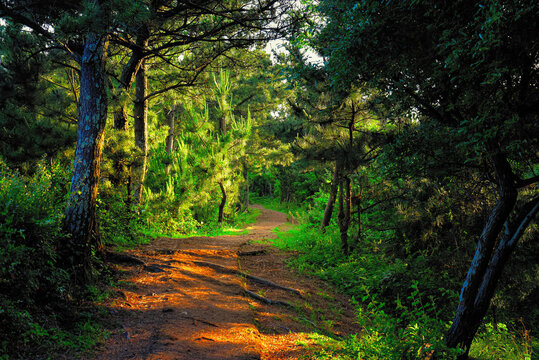 Walk along the Songaksan trail as the light fades on Jeju Island in South Korea