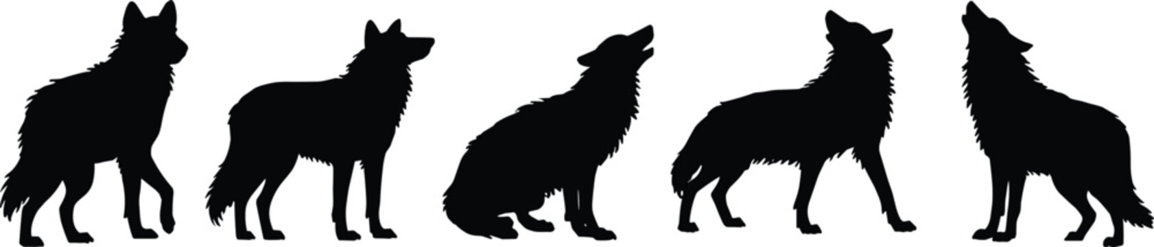 Five Wolf Silhouettes Howling and Standing on White Background vector illustration