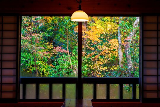 View of autumn leaves from a room in a traditional Ryokan in Kumamoto, Kyushu, Japan