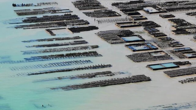 Aerial footage of oyster beds during low tide near Cancale, layout of shellfish farming in the intertidal zone