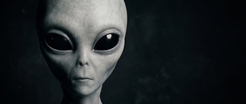 A close-up, detailed portrait of a grey alien with large, dark eyes and an extraterrestrial head shape against a dark, textured background, evoking mystery and the unknown.