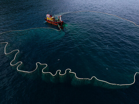 Tradition of anchovy net fishing in coastal waters of Tuy An in Phu Yen Province Vietnam