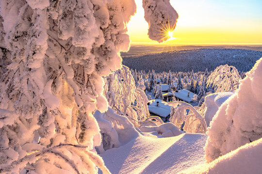 Snow covers huts in boreal forest highlighting dawn in Pudasjarvi, Finland with sunlight breaking through the trees