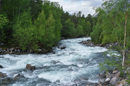 View of rushing river through forest in Tysfjorden region near Musken in Norway