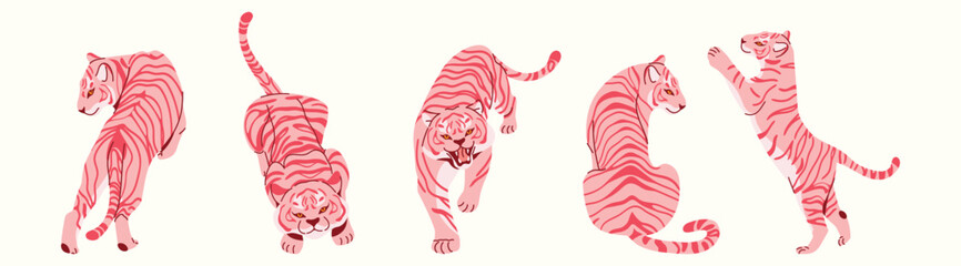 Collection of hand drawn tigers in different poses. Walking, roaring, sitting and playful striped wild cats. Flat vector jungle animal illustrations isolated on white background. © m_matvi