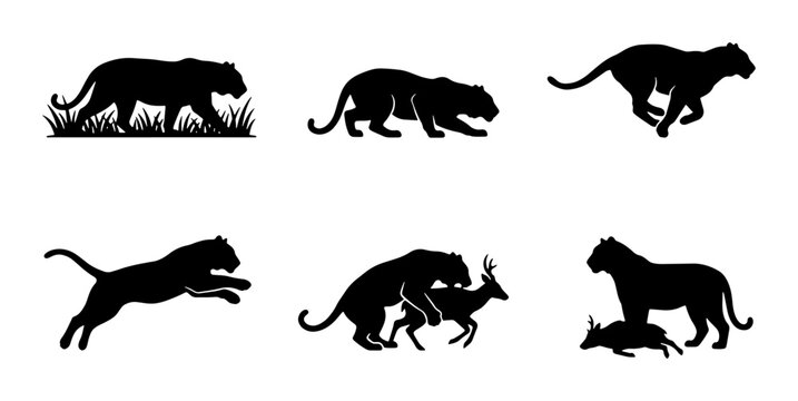 Black Silhouette Big Cat Vector Icons: Hunting, Running, Prowling, Jumping, Predator-Prey Scenes