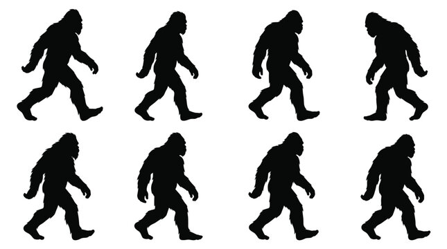 Set of eight black silhouettes showing bigfoot or sasquatch walking in different variations, isolated on a white background, for mystery and nature themes