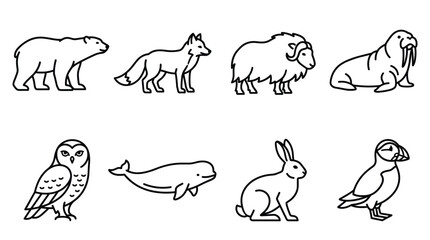 Set of eight black and white line of arctic animals, including a polar bear, fox, muskox, walrus, owl, whale, rabbit, and puffin, isolated on a white background © NoobCreaTion