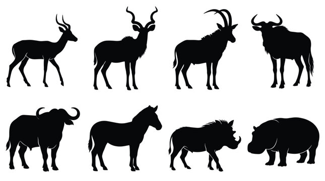 Set of eight black silhouettes of african wild animals, including antelope, wildebeest, buffalo, zebra, warthog, and hippopotamus, isolated on a white background, for wildlife projects