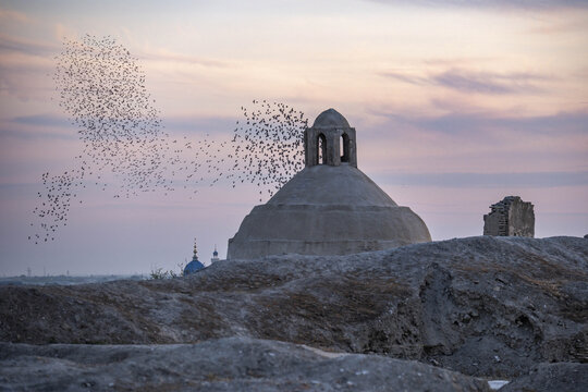 Birds fly at dusk over the Ark of Bukhara fortress in Uzbekistan as the day transitions to night