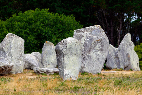 Exploring the Neolithic standing stones at Carnac in France, a historic site with ancient menhirs in a field